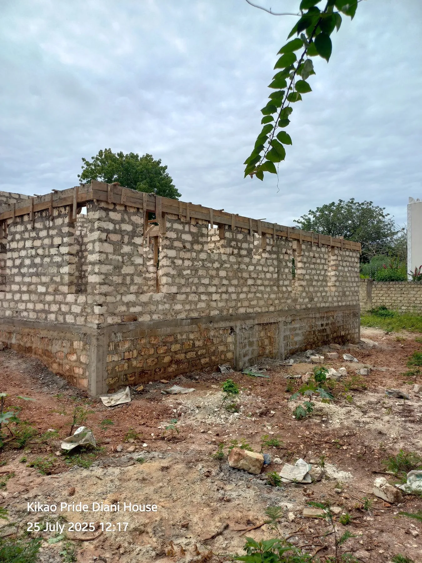 Diani Project